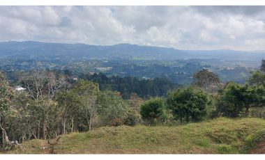 Lote en Venta en Sector Vía Aeropuerto Vereda Canoas