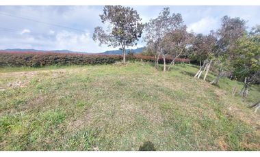Lote en Venta en Sector Vía Aeropuerto Vereda Canoas