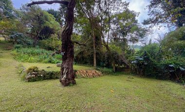 Venta Casa campestre en Dapa