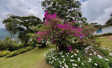 Venta Casa campestre en Dapa