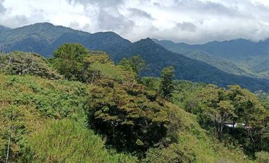 VENDO LOTE DE 8365MTS EN VOLCANCITO