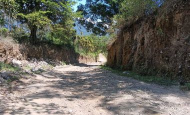 VENDO LOTE DE 8365MTS EN VOLCANCITO