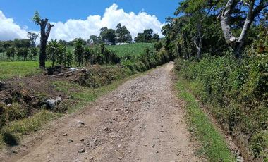 VENDO LOTE DE 8365MTS EN VOLCANCITO