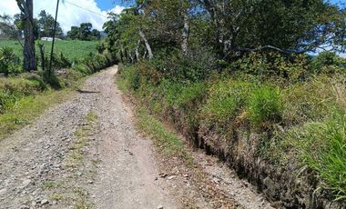 VENDO LOTE DE 8365MTS EN VOLCANCITO