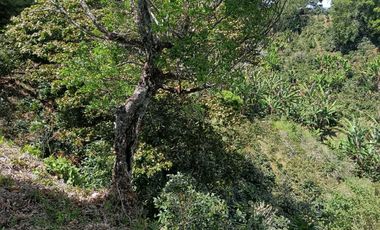 VENDO LOTE DE 8365MTS EN VOLCANCITO