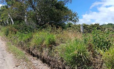 VENDO LOTE DE 8365MTS EN VOLCANCITO