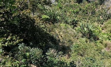 VENDO LOTE DE 8365MTS EN VOLCANCITO