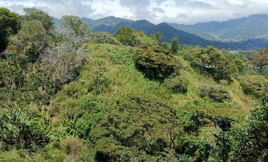 VENDO LOTE DE 8365MTS EN VOLCANCITO