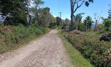 VENDO LOTE DE 8365MTS EN VOLCANCITO