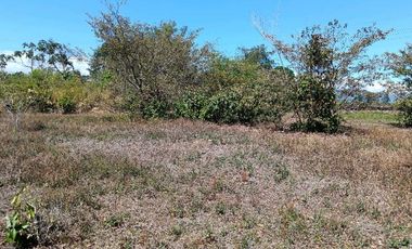 VENDO LOTE COMERCIAL DE 4800MTS BQT