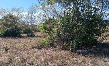 VENDO LOTE COMERCIAL DE 4800MTS BQT