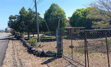 VENDO LOTE COMERCIAL DE 4800MTS BQT