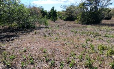 VENDO LOTE COMERCIAL DE 4800MTS BQT