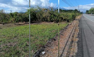 VENDO LOTE COMERCIAL DE 4800MTS BQT