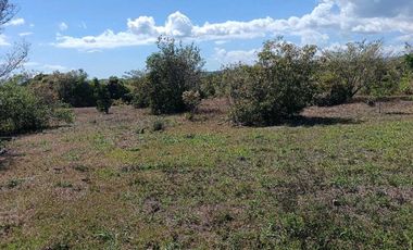 VENDO LOTE COMERCIAL DE 4800MTS BQT