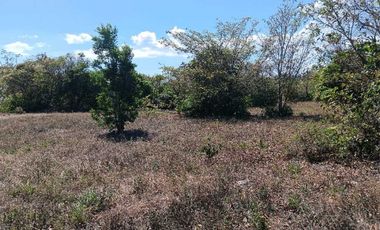 VENDO LOTE COMERCIAL DE 4800MTS BQT