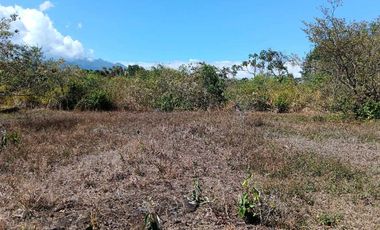 VENDO LOTE COMERCIAL DE 4800MTS BQT