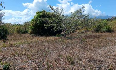 VENDO LOTE COMERCIAL DE 4800MTS BQT