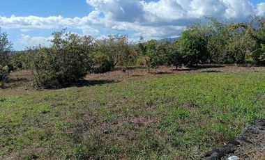 VENDO LOTE COMERCIAL DE 4800MTS BQT