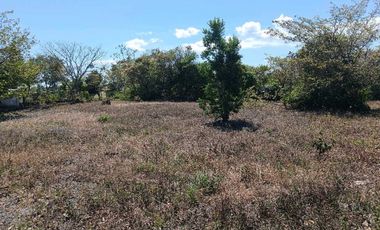 VENDO LOTE COMERCIAL DE 4800MTS BQT