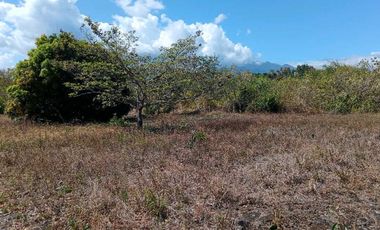 VENDO LOTE COMERCIAL DE 4800MTS BQT