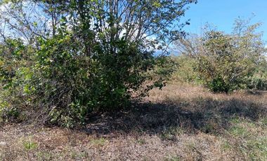 VENDO LOTE COMERCIAL DE 4800MTS BQT