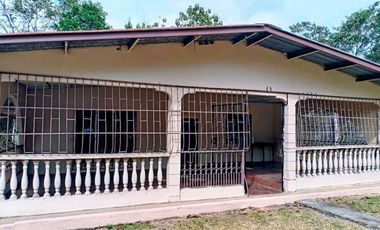Se vende o alquila amplia casa en San Pablo Nuevo. Negociable