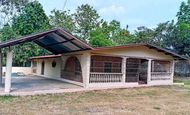 Se vende o alquila amplia casa en San Pablo Nuevo. Negociable