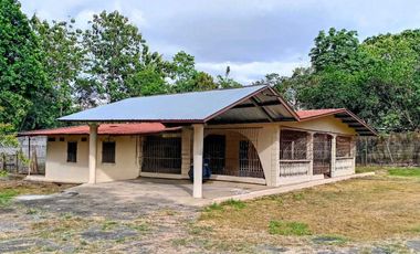Se vende o alquila amplia casa en San Pablo Nuevo. Negociable
