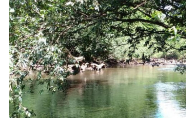 VENDO CAMPO EN PROFUNDIDAD  - CANDELARIA - MISIONES - SOBRE ARROYO