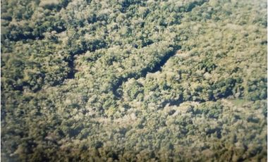 VENDO CAMPO EN PROFUNDIDAD  - CANDELARIA - MISIONES - SOBRE ARROYO