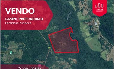 VENDO CAMPO EN PROFUNDIDAD  - CANDELARIA - MISIONES - SOBRE ARROYO