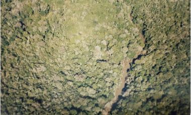 VENDO CAMPO EN PROFUNDIDAD  - CANDELARIA - MISIONES - SOBRE ARROYO