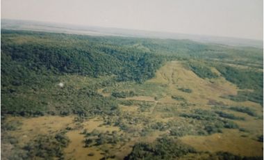 VENDO CAMPO EN PROFUNDIDAD  - CANDELARIA - MISIONES - SOBRE ARROYO