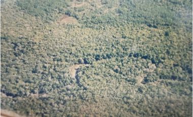 VENDO CAMPO EN PROFUNDIDAD  - CANDELARIA - MISIONES - SOBRE ARROYO