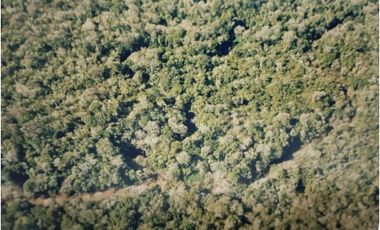 VENDO CAMPO EN PROFUNDIDAD  - CANDELARIA - MISIONES - SOBRE ARROYO