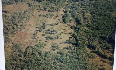 VENDO CAMPO EN PROFUNDIDAD  - CANDELARIA - MISIONES - SOBRE ARROYO