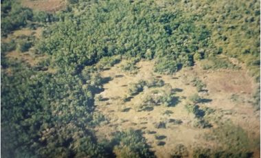 VENDO CAMPO EN PROFUNDIDAD  - CANDELARIA - MISIONES - SOBRE ARROYO