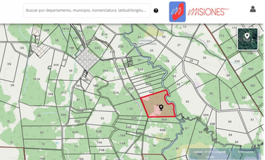 VENDO CAMPO EN PROFUNDIDAD  - CANDELARIA - MISIONES - SOBRE ARROYO