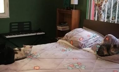 ENTRE SAN RAMON Y LA GRANJA STGO.