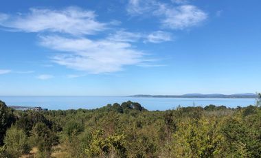 Parcela en venta en QUEILÉN