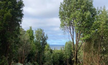 Parcela en venta en QUEILÉN