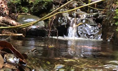 Parcela en venta en QUEILÉN