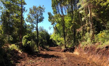 Parcela en venta en QUEILÉN