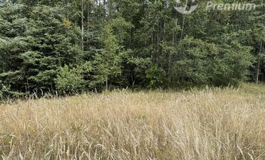Parcela en Venta en 8 Faja Camino Loncoche Villarrica