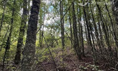 Parcela en Venta en 8 Faja Camino Loncoche Villarrica