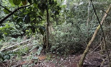 Parcela en Venta en 8 Faja Camino Loncoche Villarrica