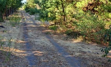 Parcela en Venta en Camino a Santa Clara. Los Ángeles. Bio-Bio.