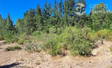 Parcela en Venta en Camino a Santa Clara. Los Ángeles. Bio-Bio.