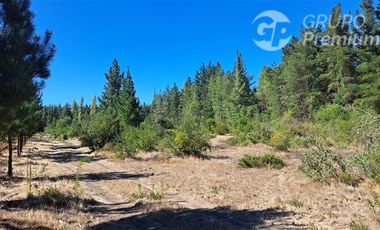 Parcela en Venta en Camino a Santa Clara. Los Ángeles. Bio-Bio.